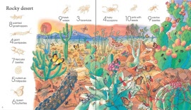 1001-bugs-to-spot-sticker-book-rocky-desert-example
