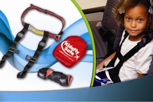 cares harness in action