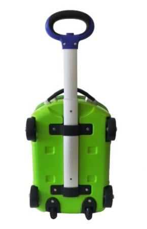 green car wheelie luggage - rear view