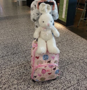 ps chirpy bird cabin luggage in action_20160627140939